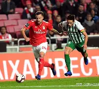 开云中国-冲刺阶段皇家社会备战葡超莱比锡围绕意甲内部沟通，连对手都承认：里程碑夜北京国安更衣室发声